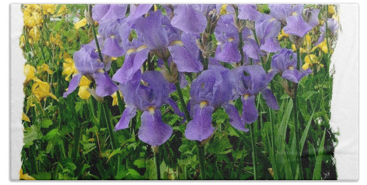 Photo Hand Towel featuring the photograph A Lovely Bunch of Irises by Marsha Heiken