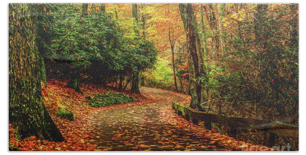 Virginia Bath Towel featuring the photograph A Path through Autumn by Darren Fisher