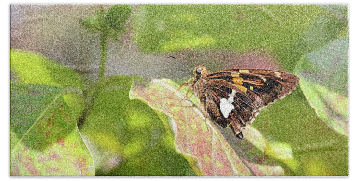 Butterfly Bath Towel featuring the photograph A Place of Rest by Trina Ansel