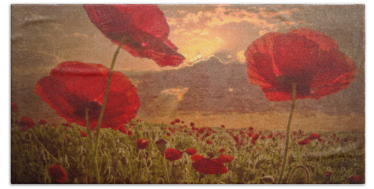 Appalachia Bath Towel featuring the photograph A Poppy Kind of Morning by Debra and Dave Vanderlaan