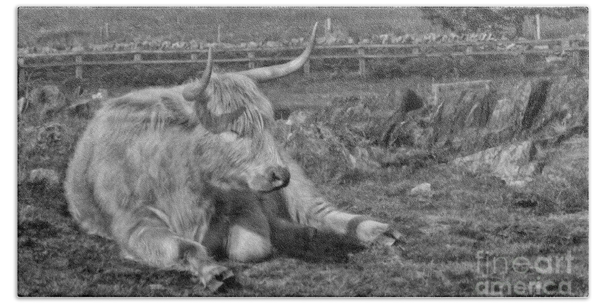 Highland Cow Bulls Bath Towel featuring the photograph A Resting Highlander by Linsey Williams