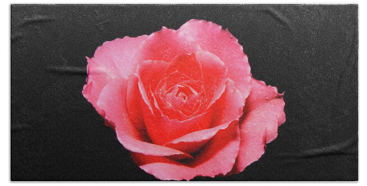 Rose Hand Towel featuring the photograph A rose is a rose is a rose by Casper Cammeraat