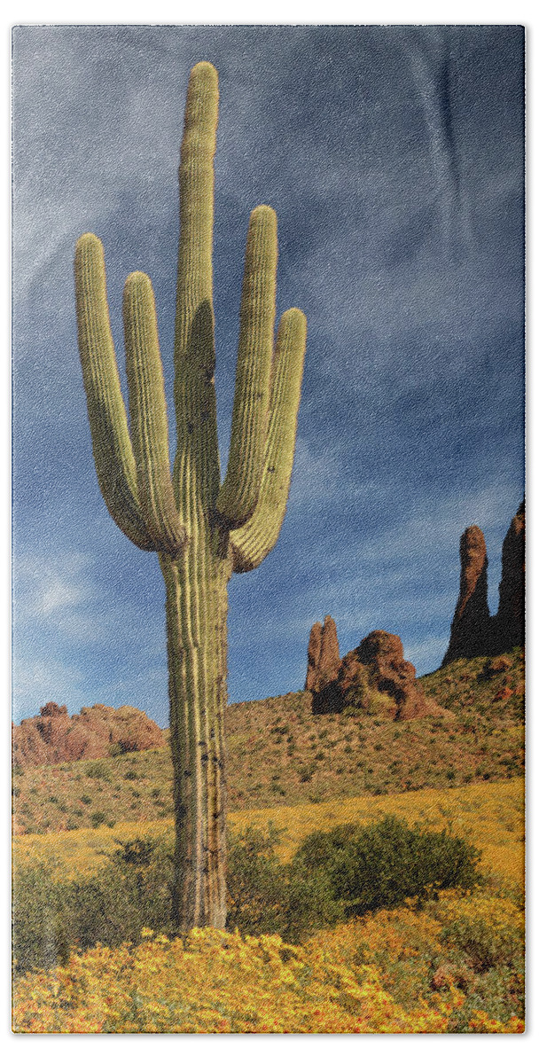 Saguaro Hand Towel featuring the photograph A Saguaro In Spring by James Eddy