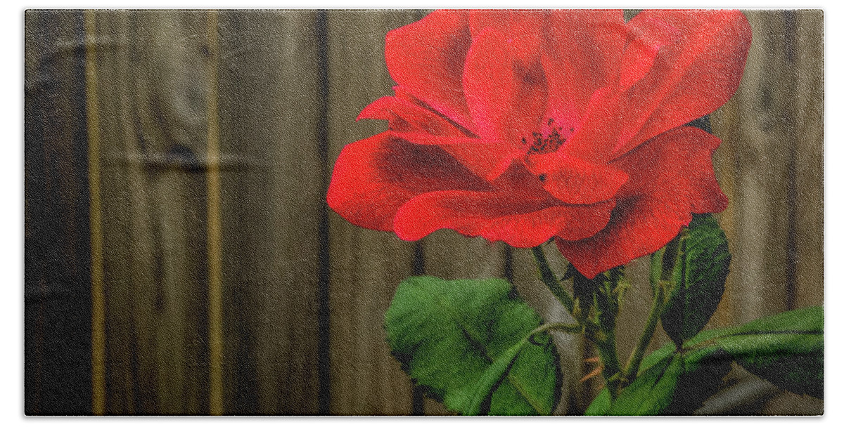 Fine Art Prints Bath Towel featuring the photograph A Simple Beauty by Dave Bosse