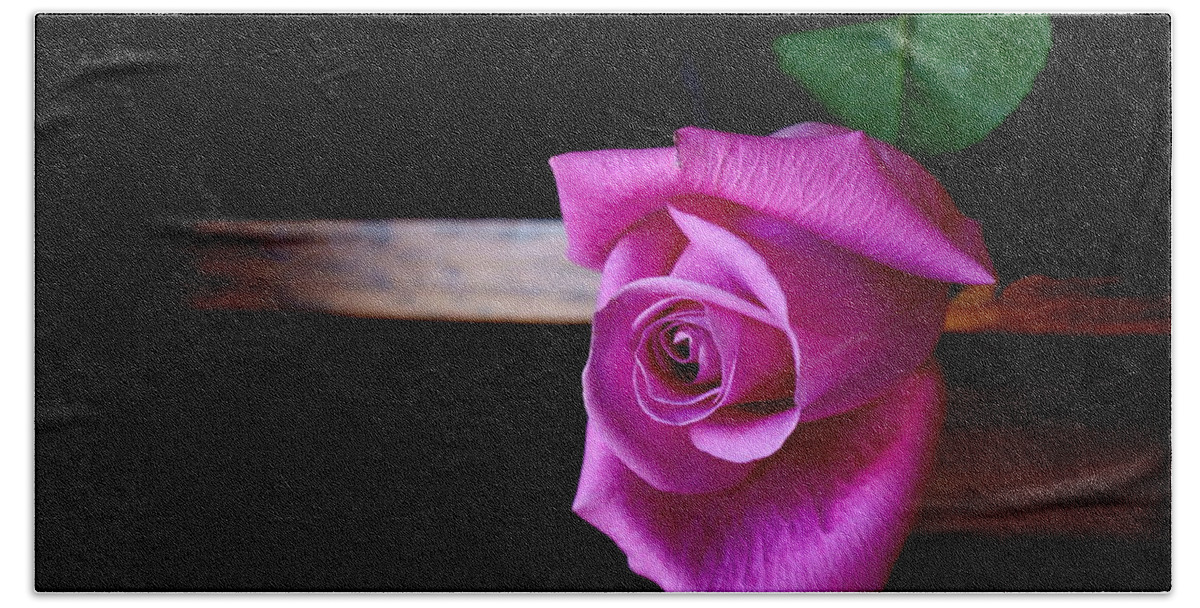 Rose Bath Towel featuring the photograph A Single Rose by Jo Smoley