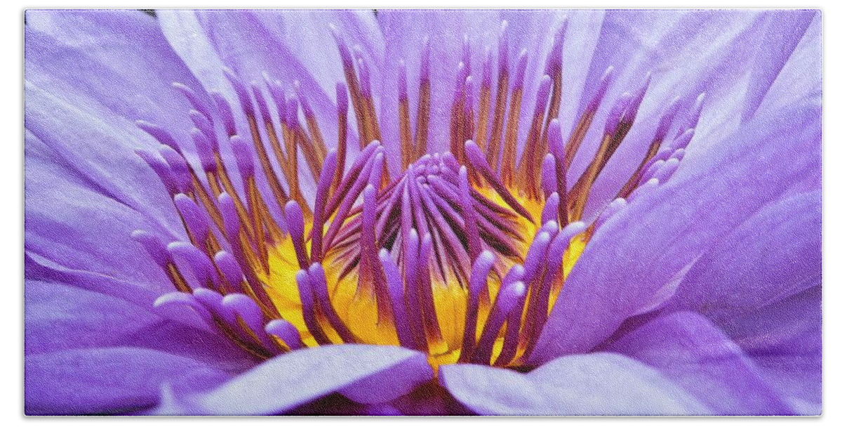 Water Lily Bath Towel featuring the photograph A Sliken Purple Water Lily by Chad and Stacey Hall