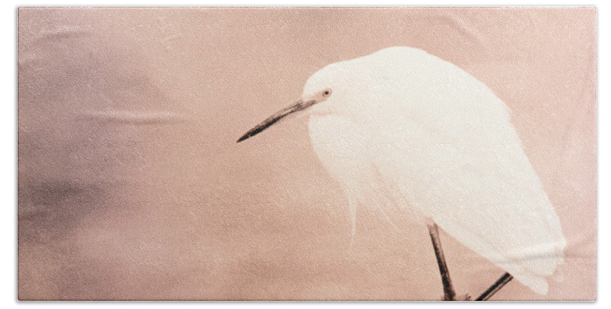 Bird Hand Towel featuring the photograph A Snowy Egret in Pink by John Harmon