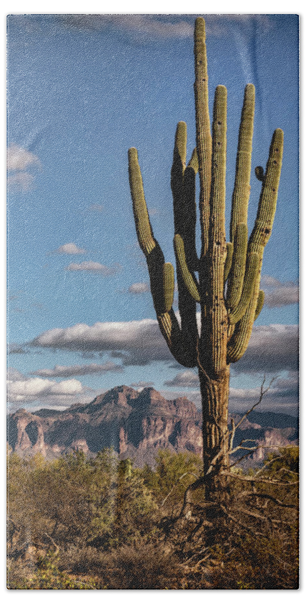 Saguaro Cactus Bath Towel featuring the photograph A Southwest Winter Day by Saija Lehtonen