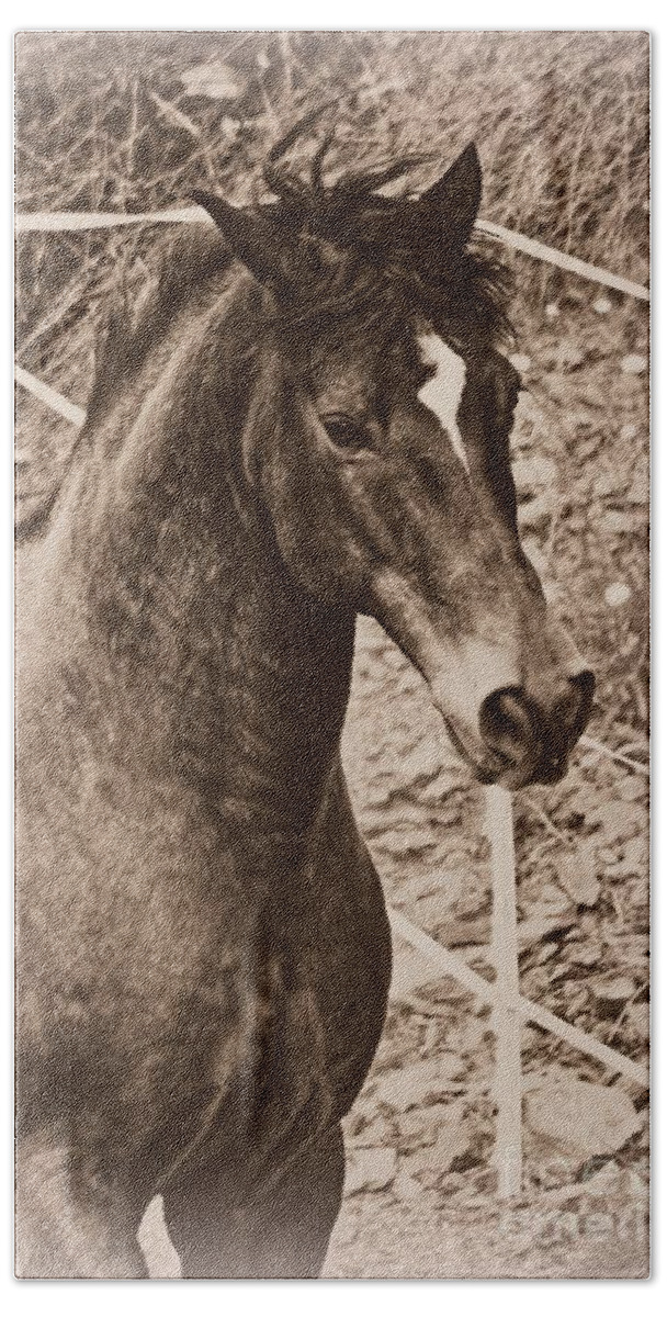 Horse Bath Towel featuring the photograph A Spanish Noble by Clare Bevan