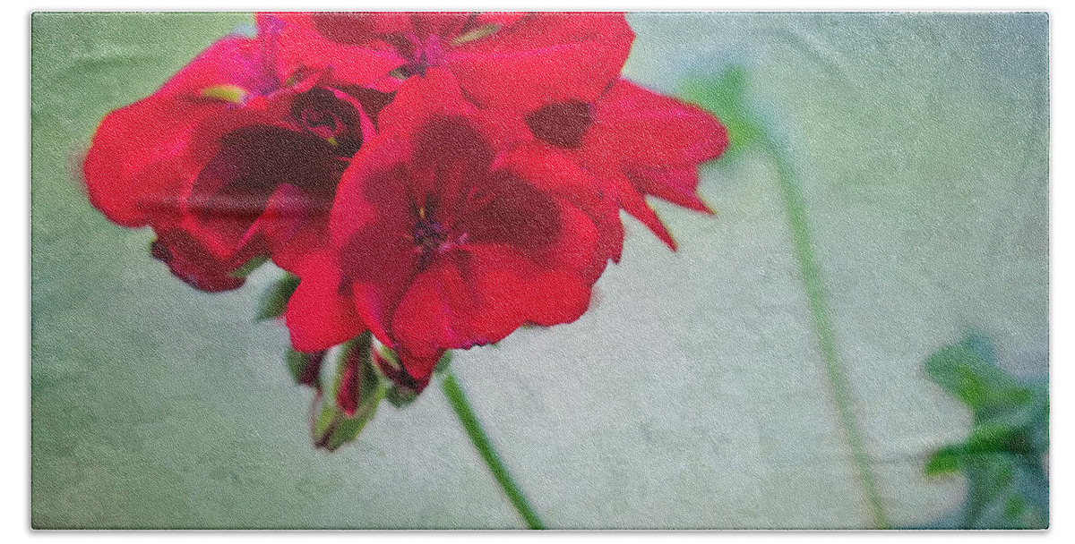 Geranium Hand Towel featuring the photograph A Splash of Red by Betty LaRue