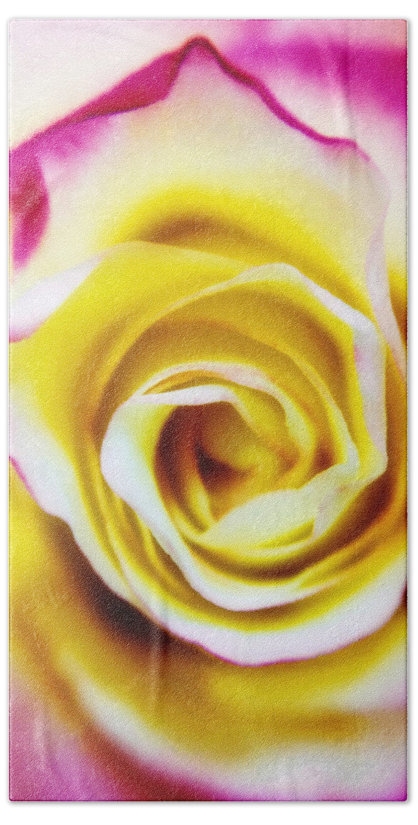 Rose Hand Towel featuring the photograph A Touch of Pink by Nathan Little