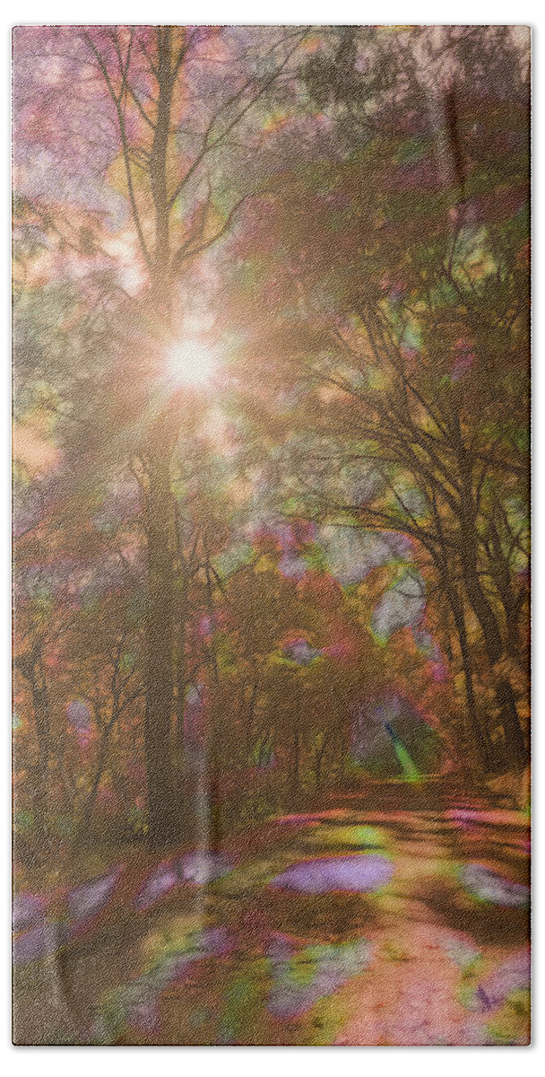 Rainbow Hand Towel featuring the photograph A Walk Through the Rainbow Forest by Beth Venner