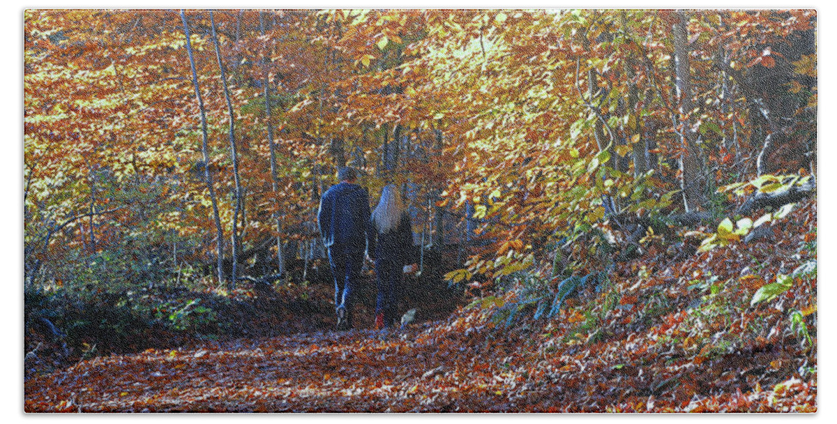 Nature Bath Towel featuring the photograph A Walk Through the Woods by Allen Beatty