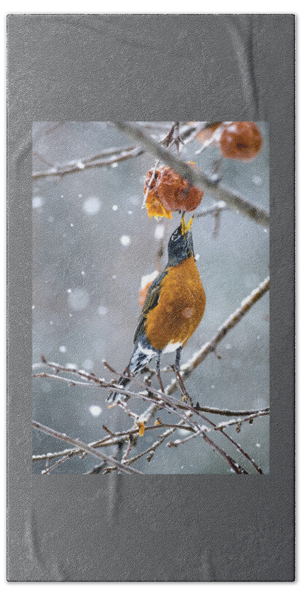 Robin Red Breast Bath Towel featuring the photograph A Worm Would Taste Better by Marty Saccone