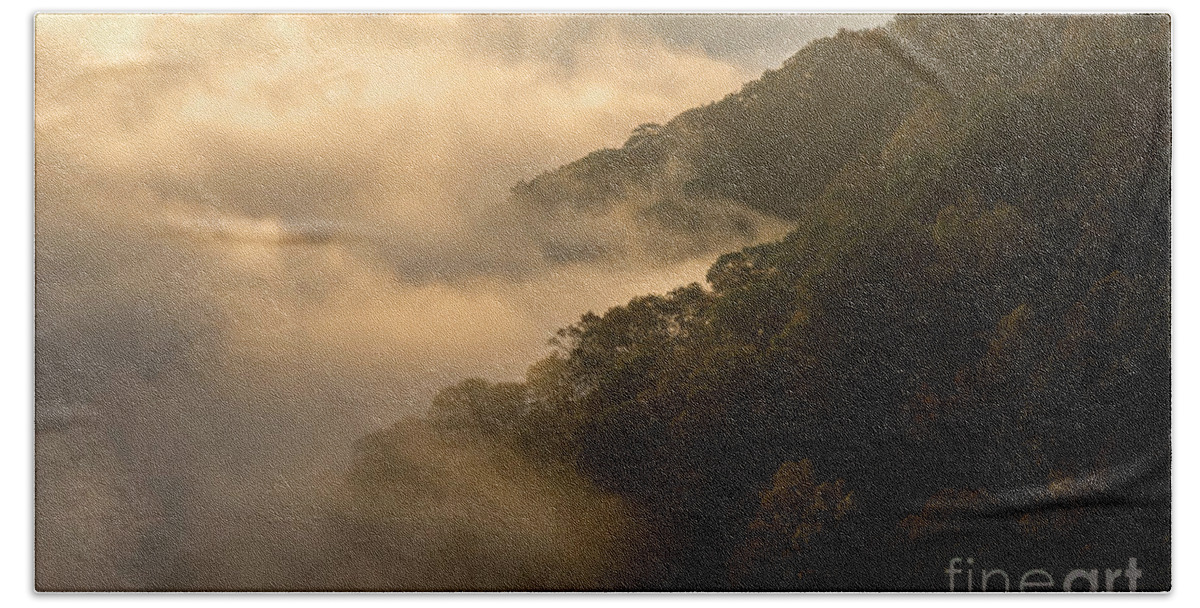 Mist Bath Towel featuring the photograph Above the Mist - D009960 by Daniel Dempster