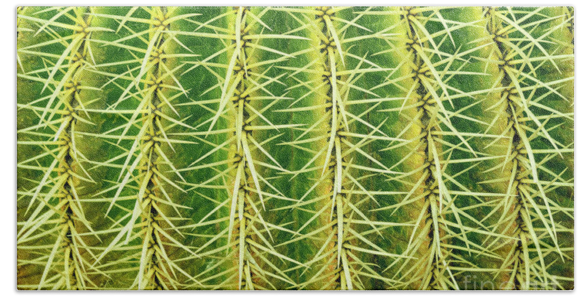 Cactus Hand Towel featuring the photograph Abstract cactus by Delphimages Photo Creations