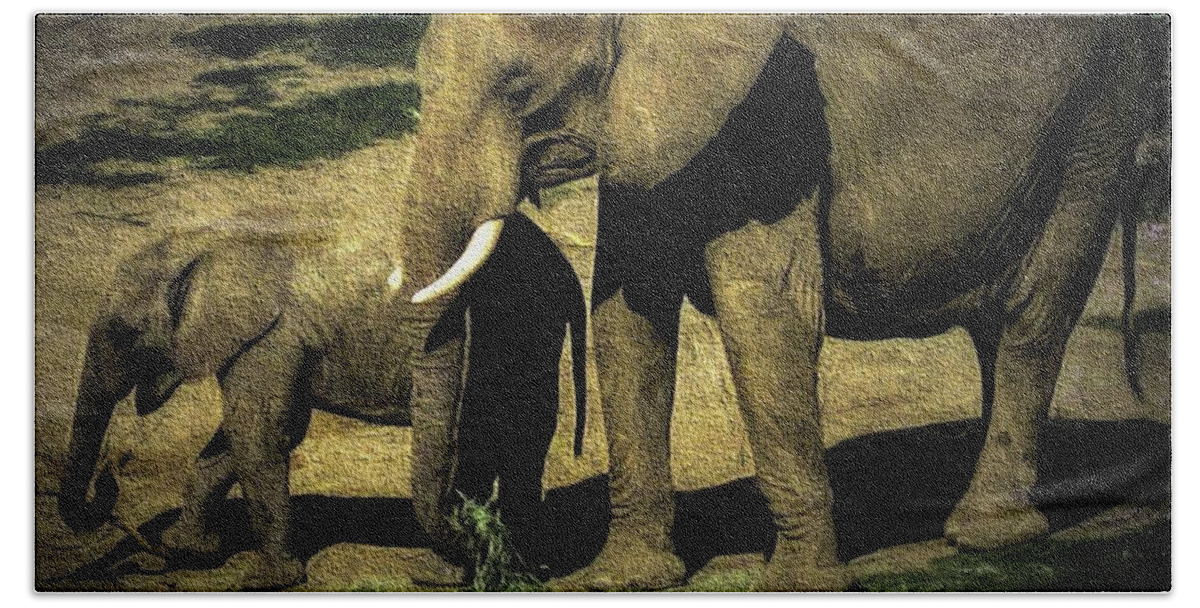 Elephants Hand Towel featuring the photograph Abstract Elephants 23 by Kristalin Davis by Kristalin Davis