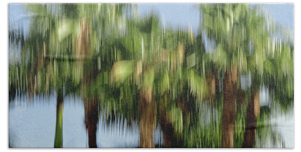 Fotografie Bath Towel featuring the photograph Abstract Florida Royal Palm Trees by Juergen Roth