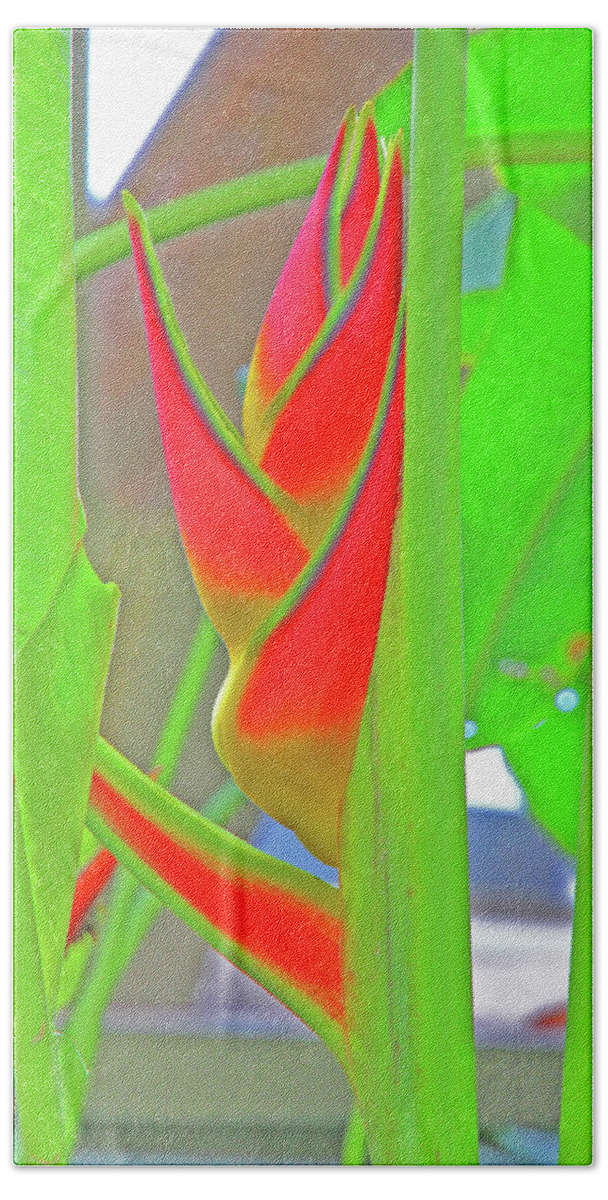 Abstract Tropical Flowers And Leaves Greens Reds Angles  Hand Towel featuring the photograph Abstract Tropical Flowers and Leaves Greens Reds Angles 2 10232017 Colorado by David Frederick