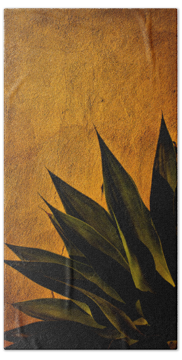 Agave Hand Towel featuring the photograph Adobe and Agave at Sundown by Chris Lord