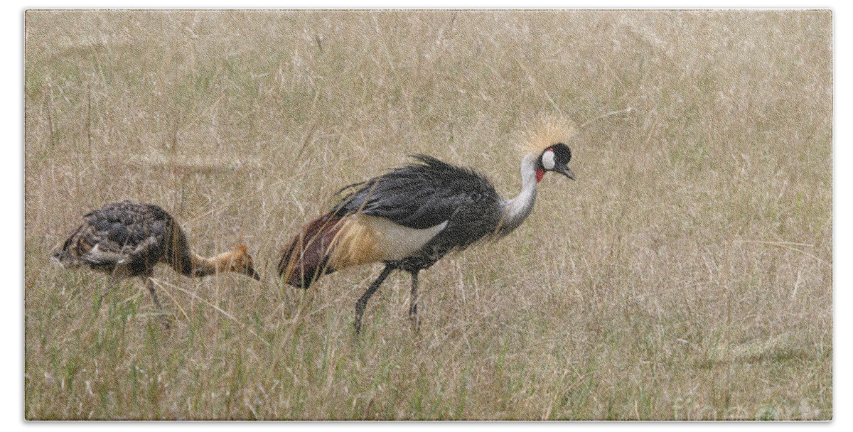 African Gray Crown Crane Bath Towel featuring the photograph African Grey Crown Crane by Joseph G Holland