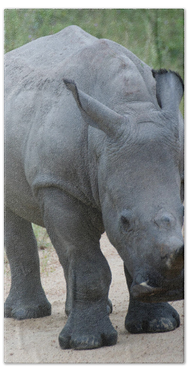 Rhino Bath Towel featuring the photograph African Rhino by Suanne Forster