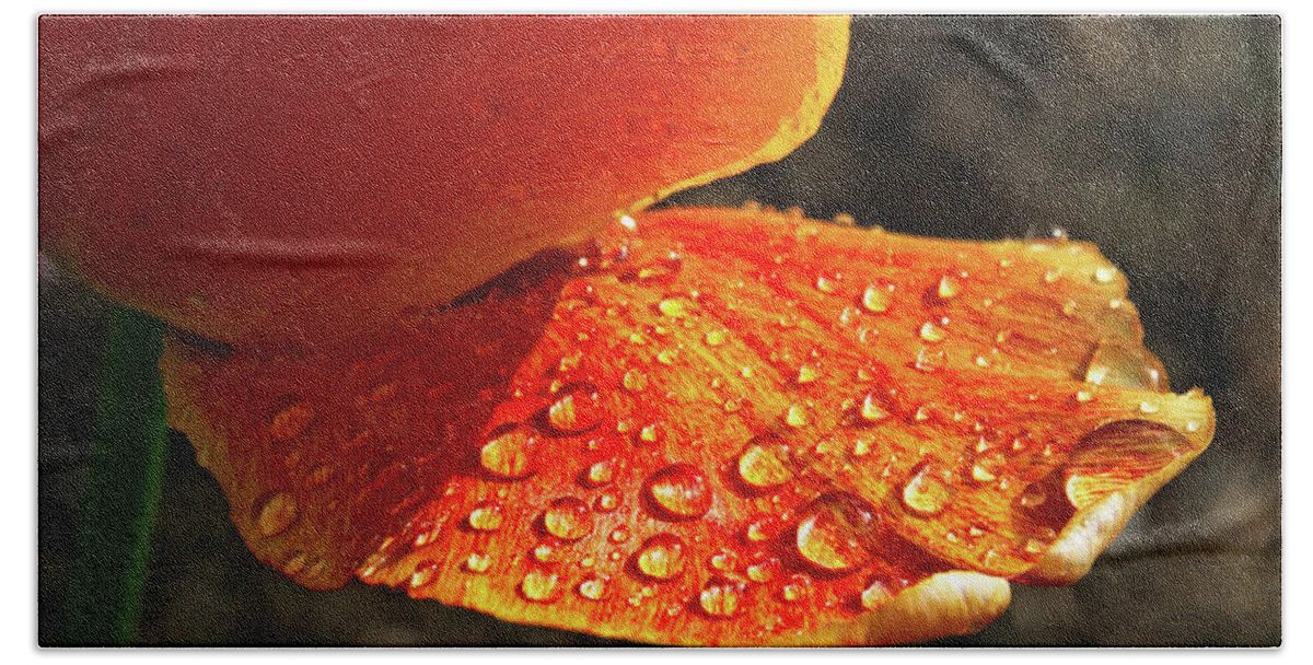 Rain Bath Towel featuring the photograph After The Rain by Mick Anderson