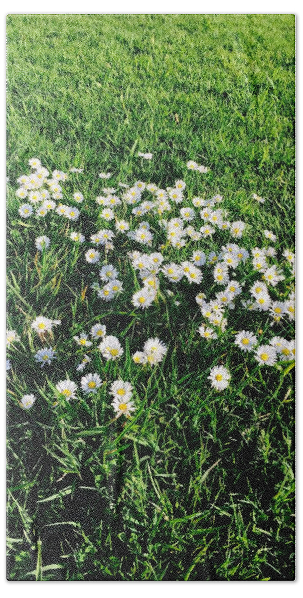 Daisies Bath Towel featuring the photograph Afternoon Daisies by Ingrid Van Amsterdam
