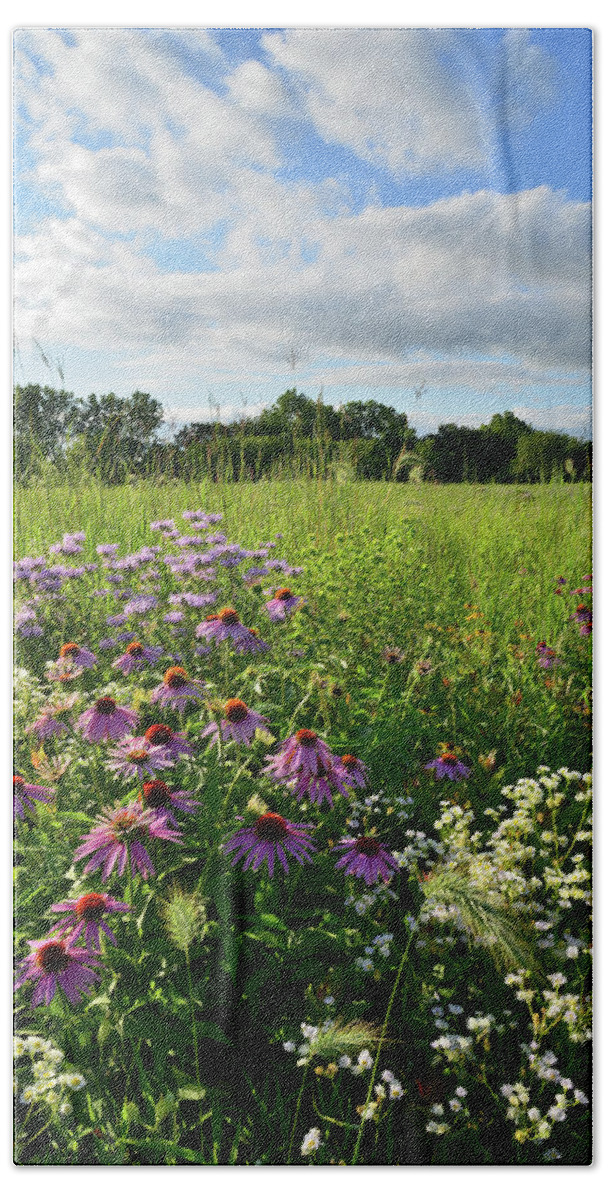 Black Eyed Susan Bath Towel featuring the photograph Afternoon in Moraine Hills State Park by Ray Mathis