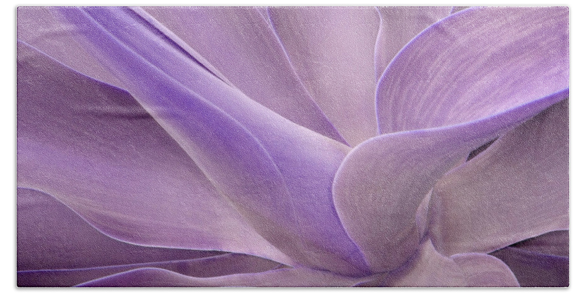 Agave Bath Towel featuring the photograph Agave Attenuata Abstract 2 by Bel Menpes