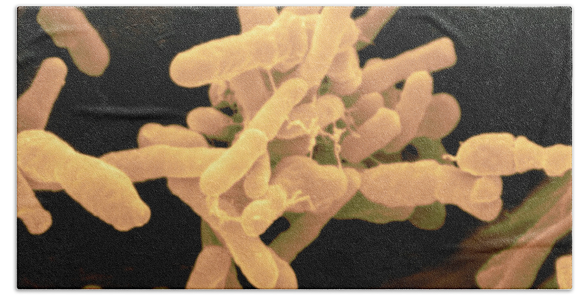 Agrobacterum Tumefaciens Bath Towel featuring the photograph Agrobacterium Tumefaciens by Scimat