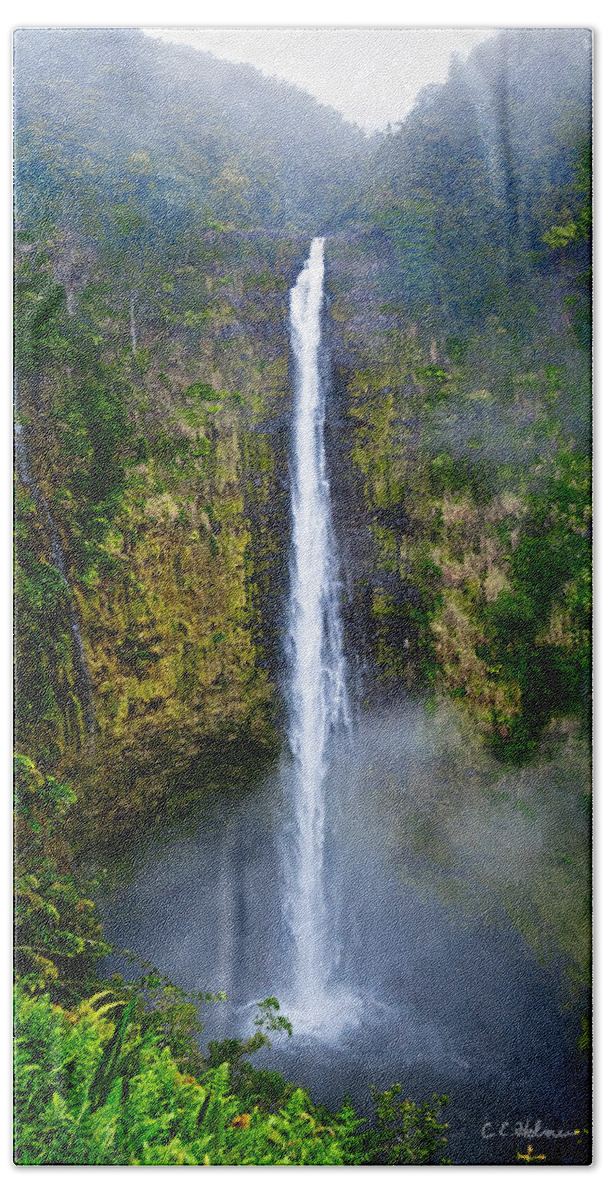 Nature Bath Towel featuring the photograph Akaka Falls by Christopher Holmes