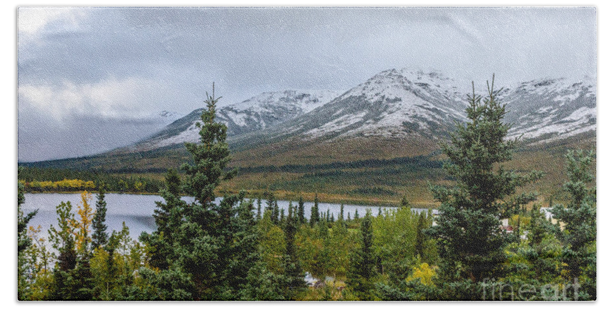 2015 Bath Towel featuring the photograph Alaska Mountain Range View by Mary Carol Story
