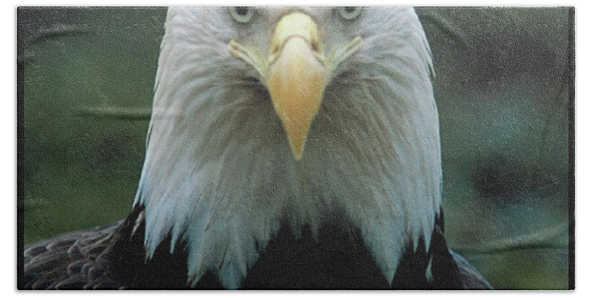 Eagle Bath Towel featuring the photograph Alaskan Eagle by Quwatha Valentine
