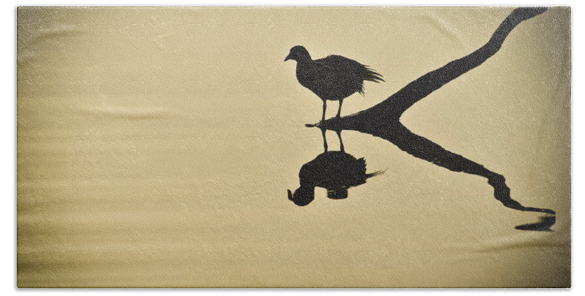 Bird Silhouette Hand Towel featuring the photograph All By Myself by Carolyn Marshall