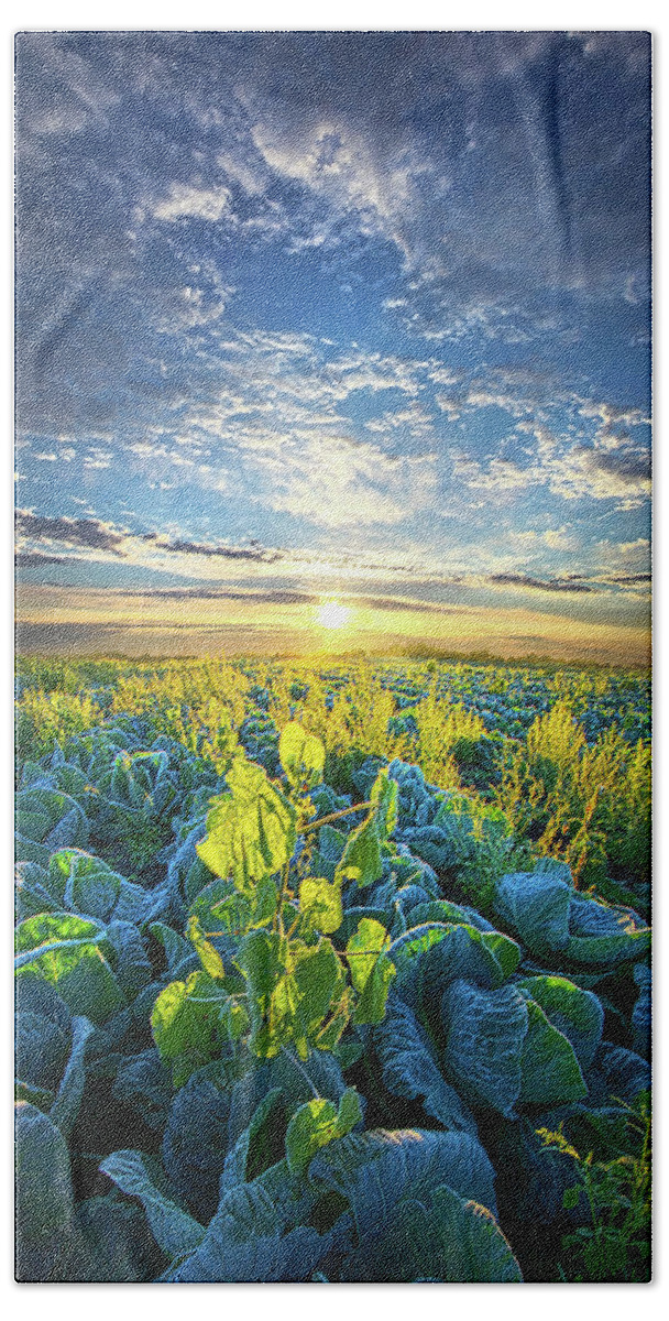Clouds Bath Towel featuring the photograph All Joined As One by Phil Koch