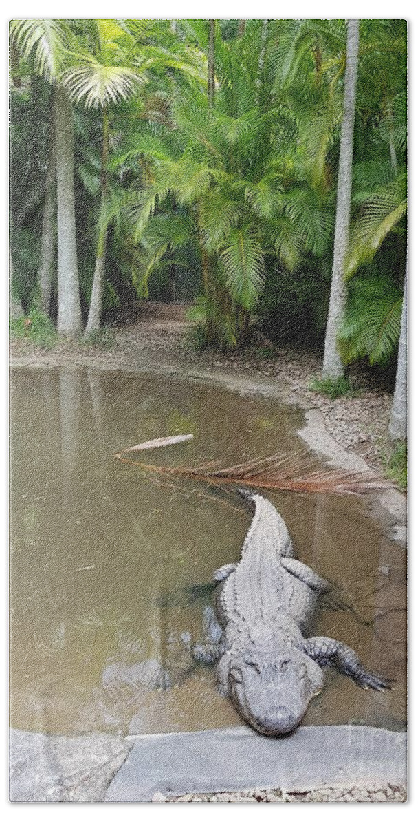 Alligator Bath Towel featuring the photograph Alligator by Cassy Allsworth