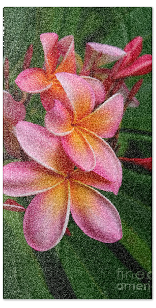 Pink Hand Towel featuring the photograph Aloha Lei Pua Melia Keanae by Sharon Mau
