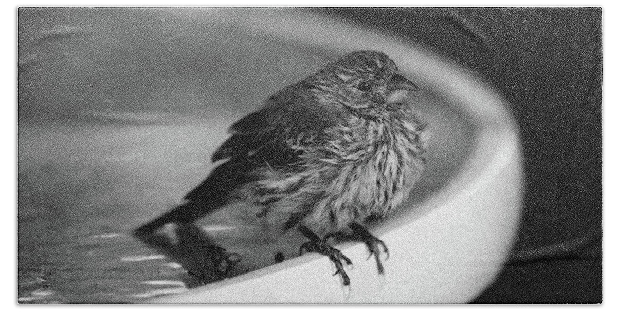 Black And White Photography- Images Of Rae Ann M. Garett - The Lonely Sparrow- Birds- Bath Towel featuring the photograph Alone am I by Rae Ann M Garrett