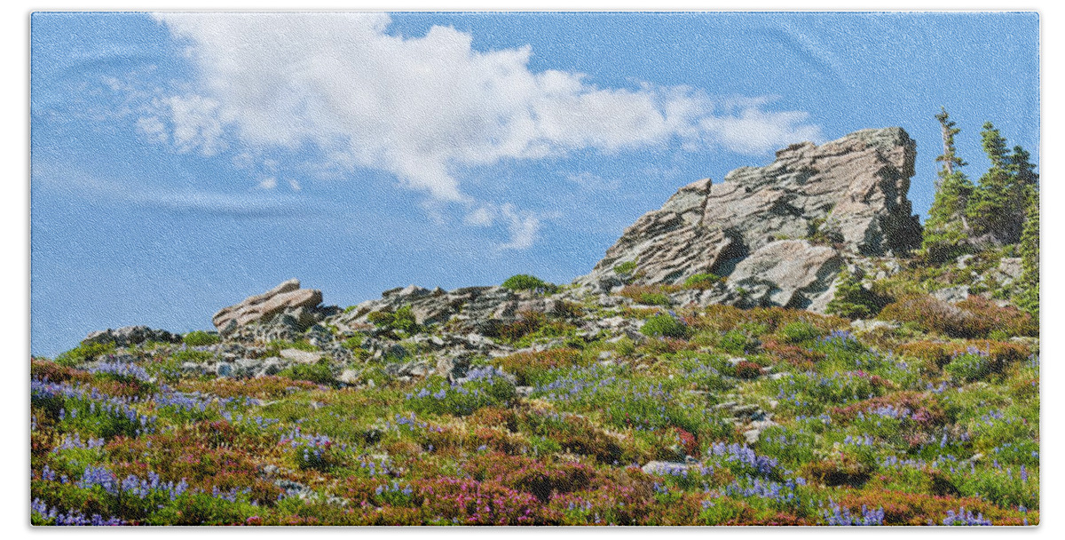 Alpine Bath Towel featuring the photograph Alpine Rock Garden by Jeff Goulden