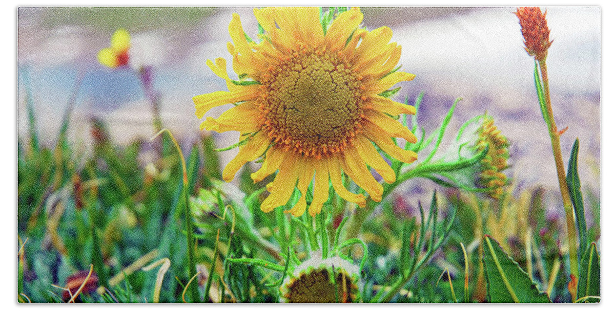 Sunflower Bath Towel featuring the photograph Alpine Sunflower in Summer by Robert Meyers-Lussier