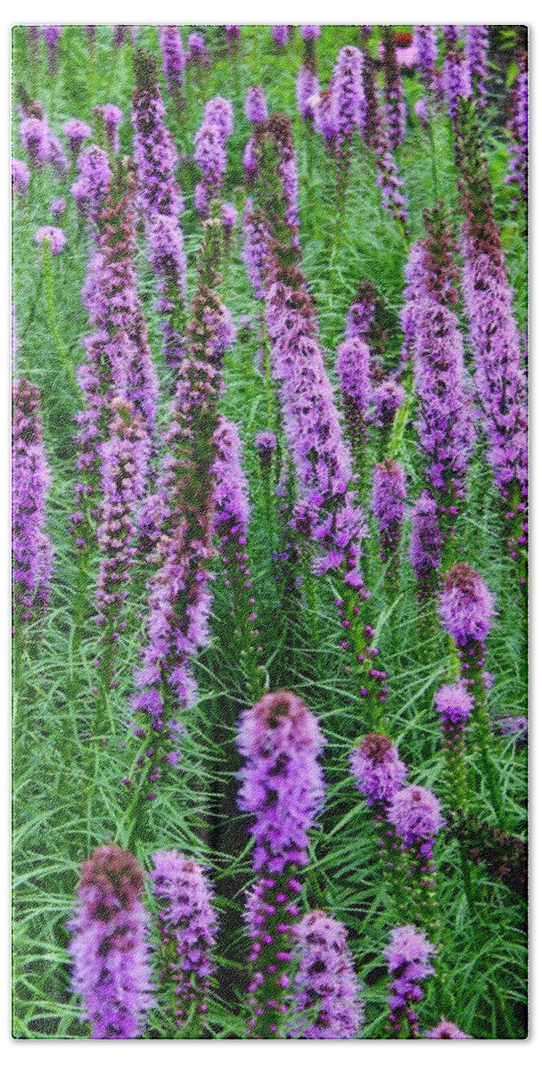 Photograph Bath Towel featuring the photograph Amazing Blazing Star Flowers in Purple by M E