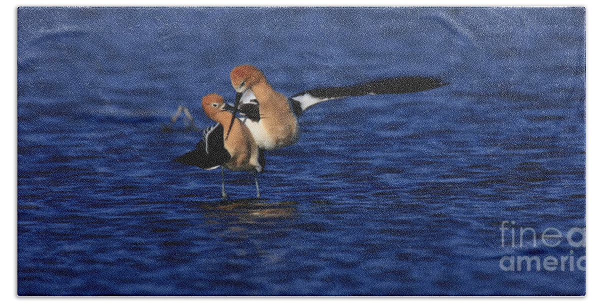 Birds Bath Towel featuring the photograph Courtship Cross by John F Tsumas