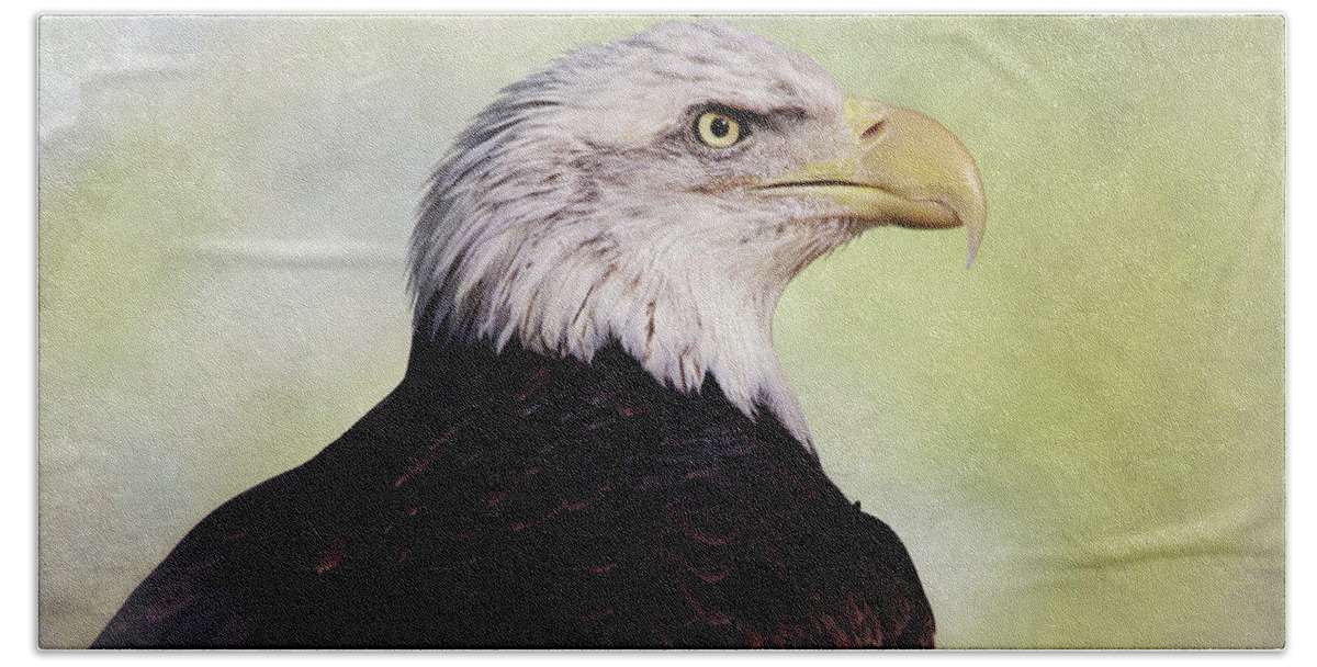 Bald Eagle Bath Towel featuring the photograph American Bald Eagle by Elaine Malott