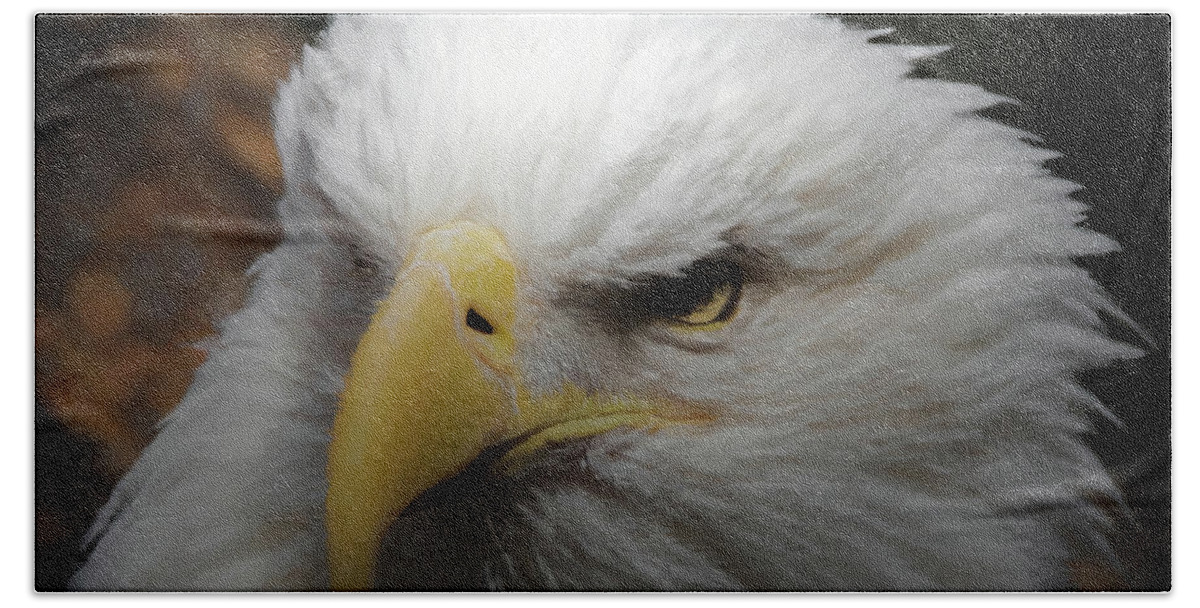 American Bald Eagle Bath Towel featuring the digital art American Bald Eagle Portrait 3 by Ernest Echols