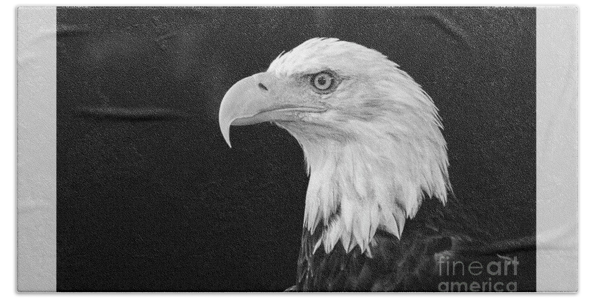 Birds Bath Towel featuring the photograph American Bald Eagle by Sal Ahmed