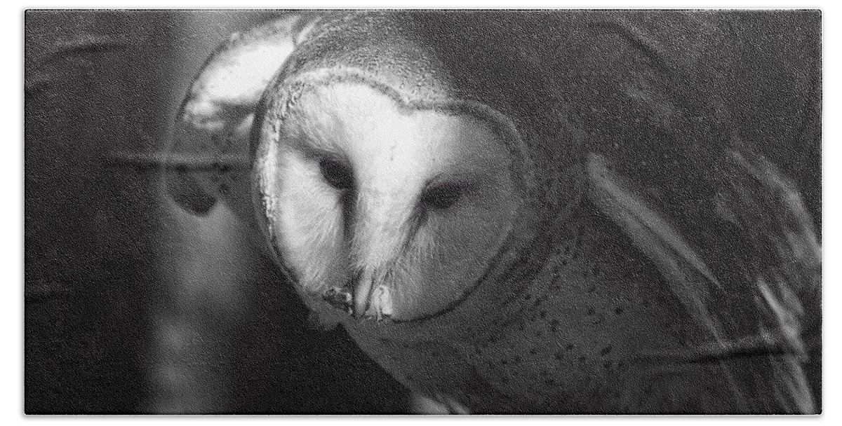 Barn Owl Bath Towel featuring the photograph American Barn Owl Monochrome by Flees Photos