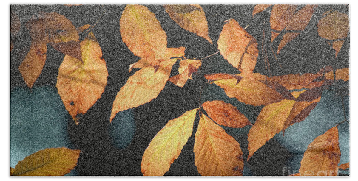 Fagus Grandifolia Bath Towel featuring the photograph American Beech Leaves by Cheryl Baxter