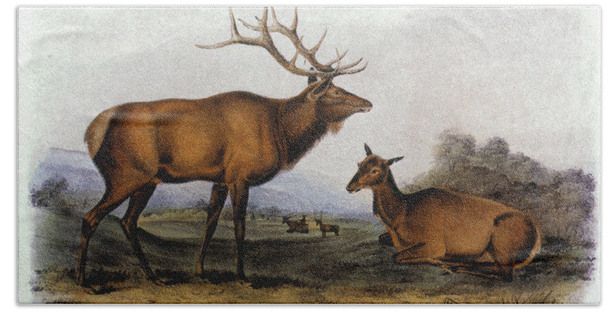 1846 Hand Towel featuring the photograph American Elk, 1846 by Granger