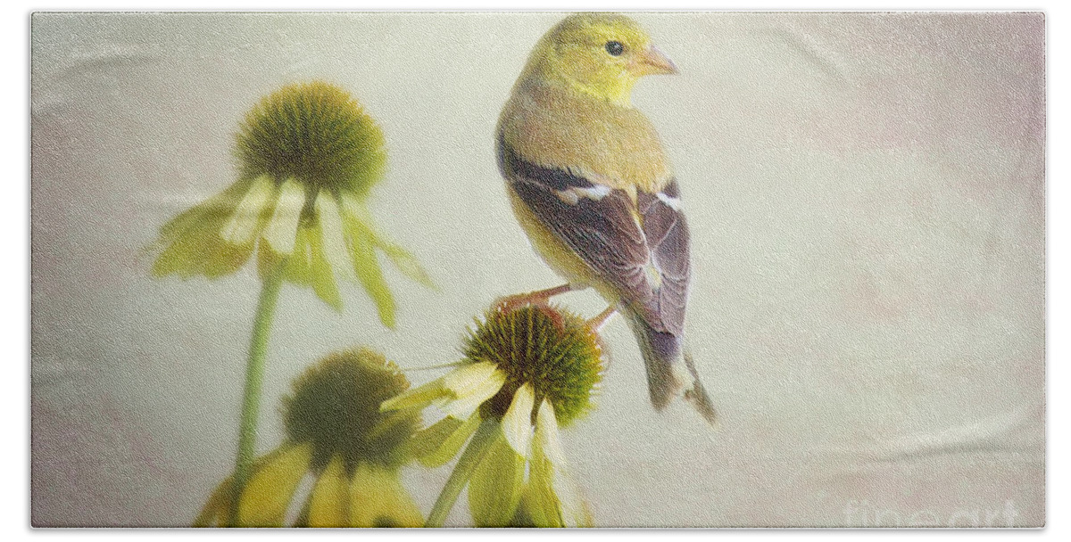Nature Bath Towel featuring the photograph American Goldfinch On Coneflower by Sharon McConnell